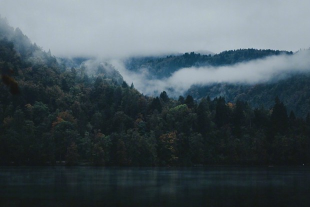 云雾缭绕的山间丛林唯美摄影图片(9)