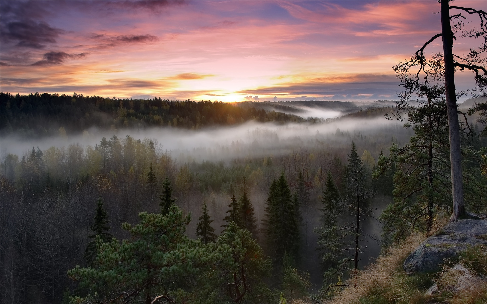 摄影图片赏析 云雾间的山林朦胧意境摄影图片(3)