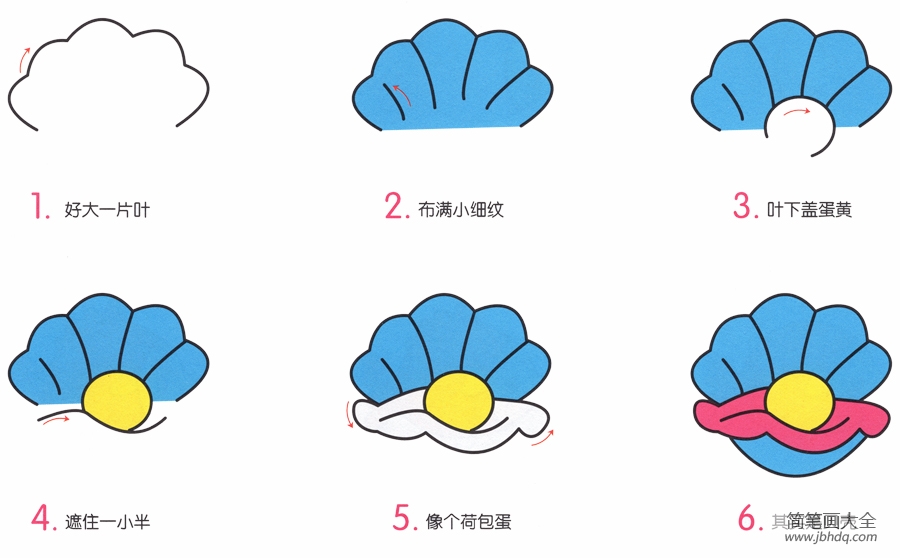 贝壳简笔画画法(2)