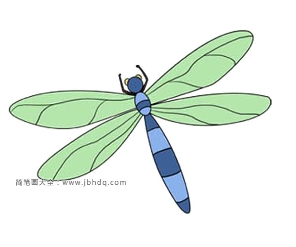漂亮的蜻蜓简笔画图片(2)