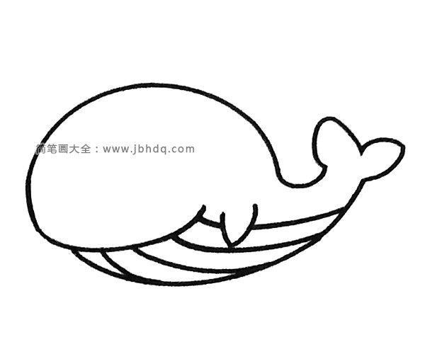 四步画出可爱的鲸鱼(3)