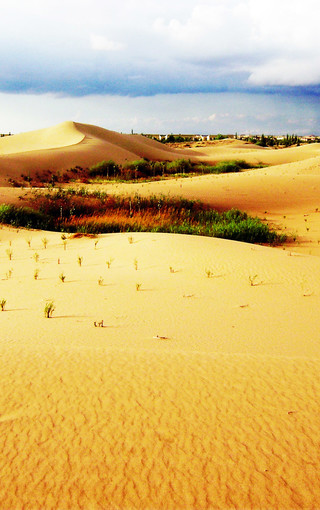 沙漠风景手机壁纸图片(9)