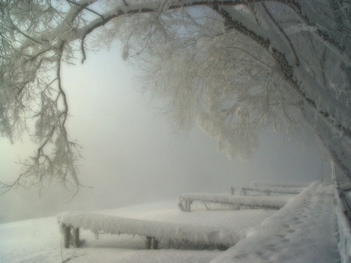 冬天的雪美景图片(6)