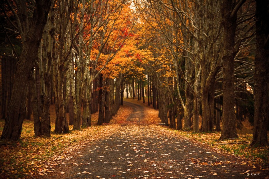 秋天寂寞的风景图片素材