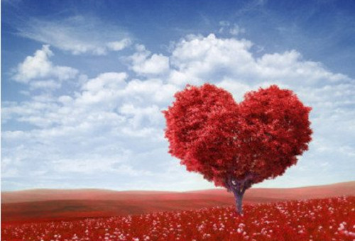 红色爱心形树意境图片素材