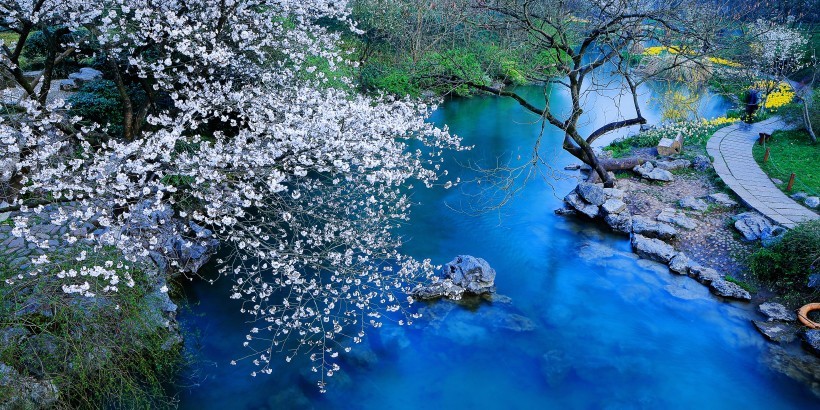 杭州太子湾公园春天里的景色图片
