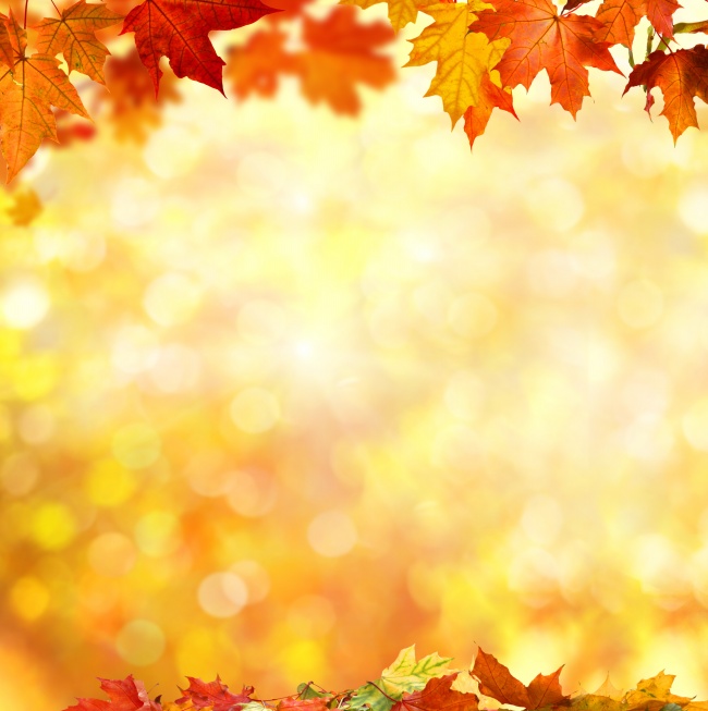 唯美的秋天枫叶背景图片素材