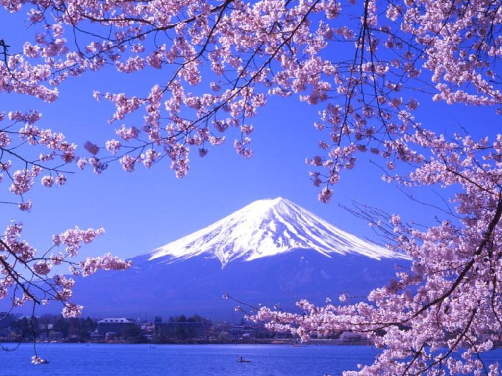 日本的风景图片大全推荐
