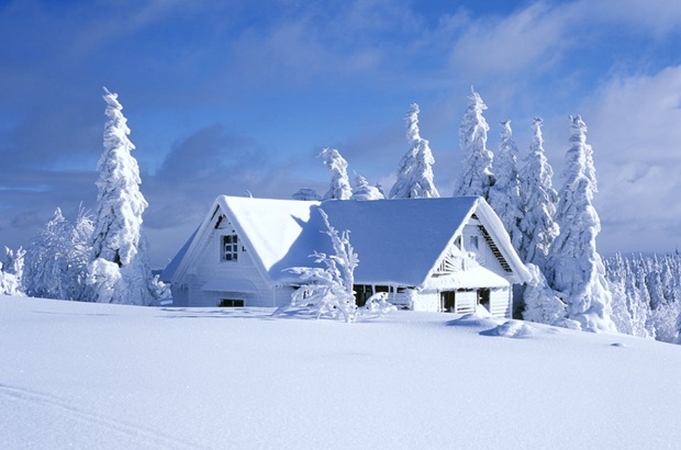 冬天美丽的雪景图片