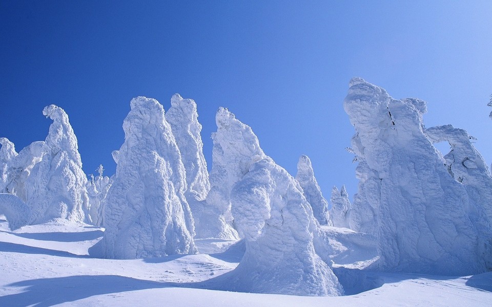 冬季白色雪景高清壁纸