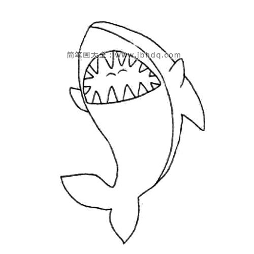 动物的画法 鲨鱼(3)