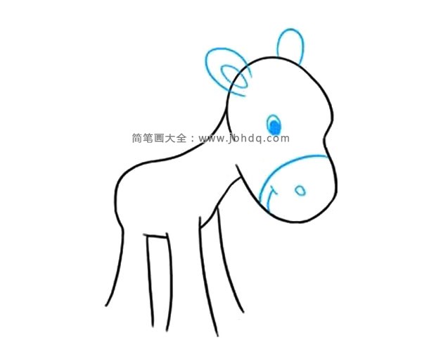 可爱的小马驹简笔画教程(5)
