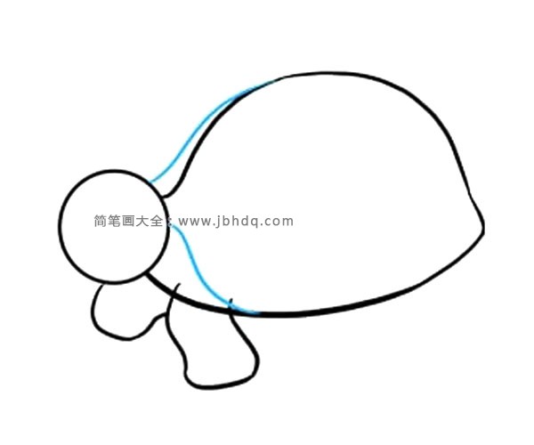 简单的海龟简笔画步骤(5)