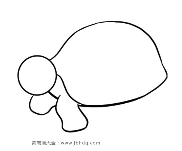 简单的海龟简笔画步骤(6)