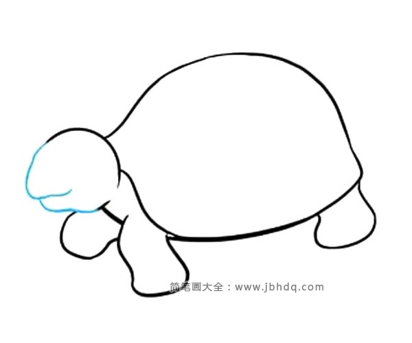 简单的海龟简笔画步骤(8)
